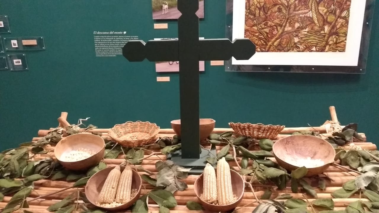 Muestra Y Preservaci N De Conocimiento Ancestral En Cultivos Mayas