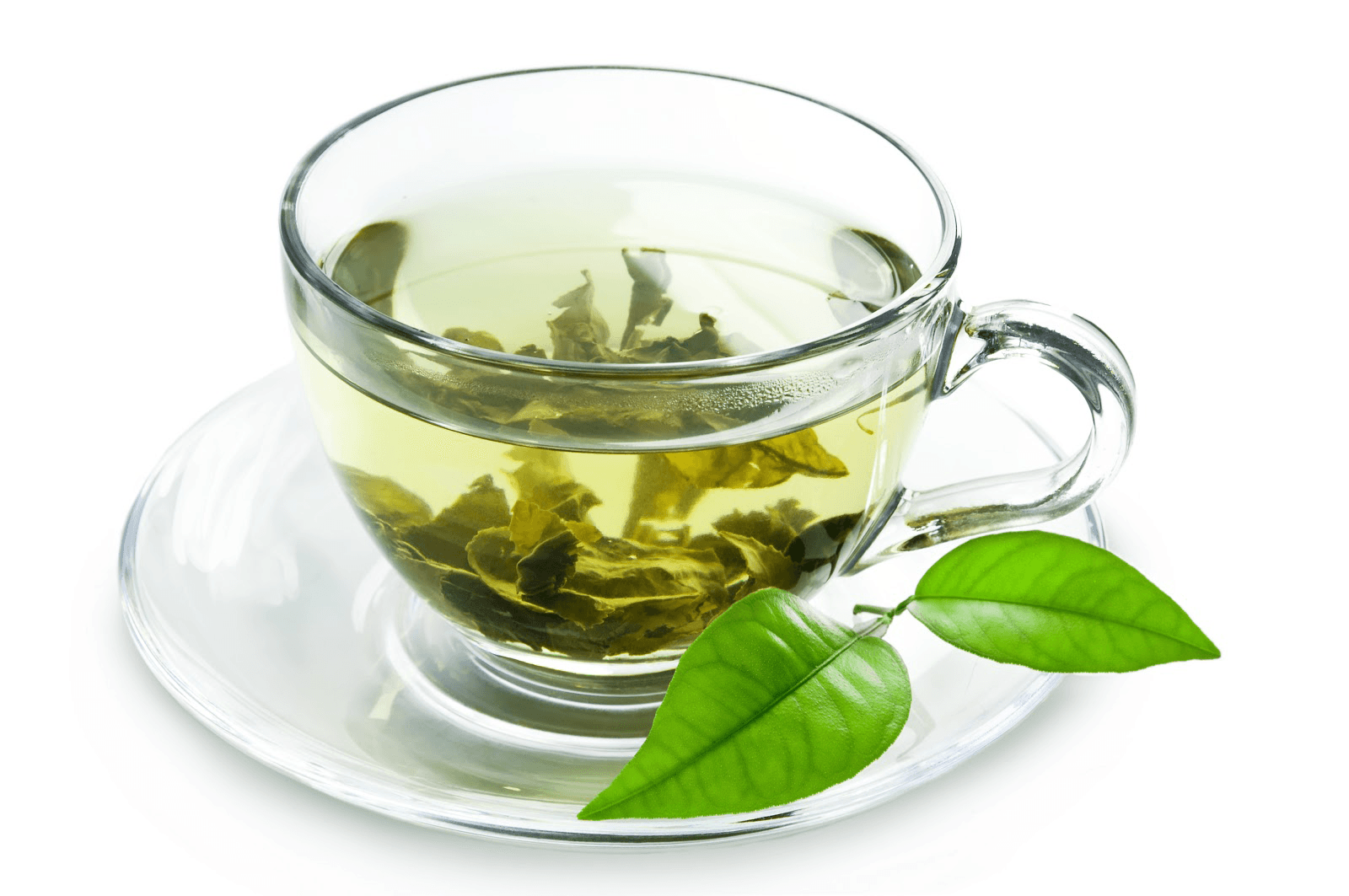 ¿Problemas de salud bucal? El té verde te puede ayudar