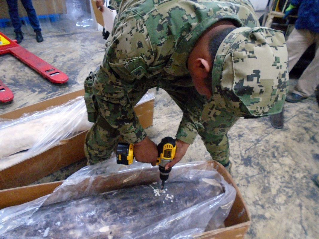 Detectan cocaína en cargamento de pescado en Progreso, Yucatán