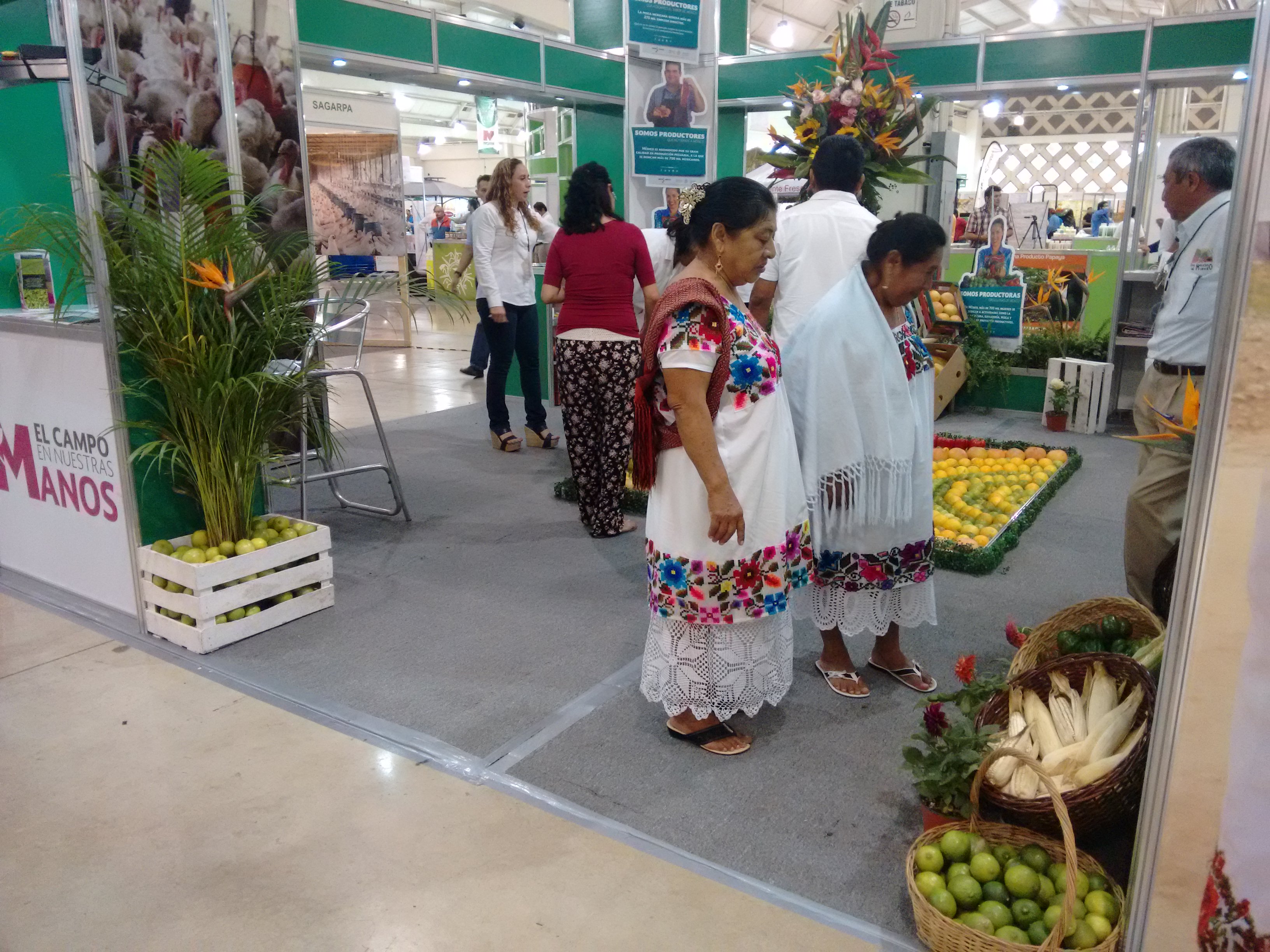 Expo Campo, magna muestra agropecuaria en Yucatán