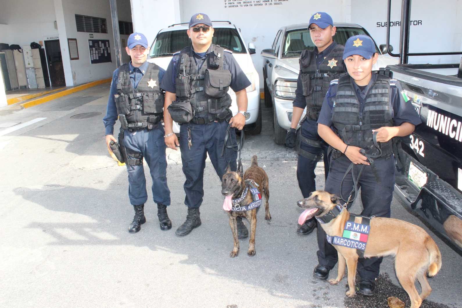 Agentes caninos de Policía Mérida reciben certificación internacional