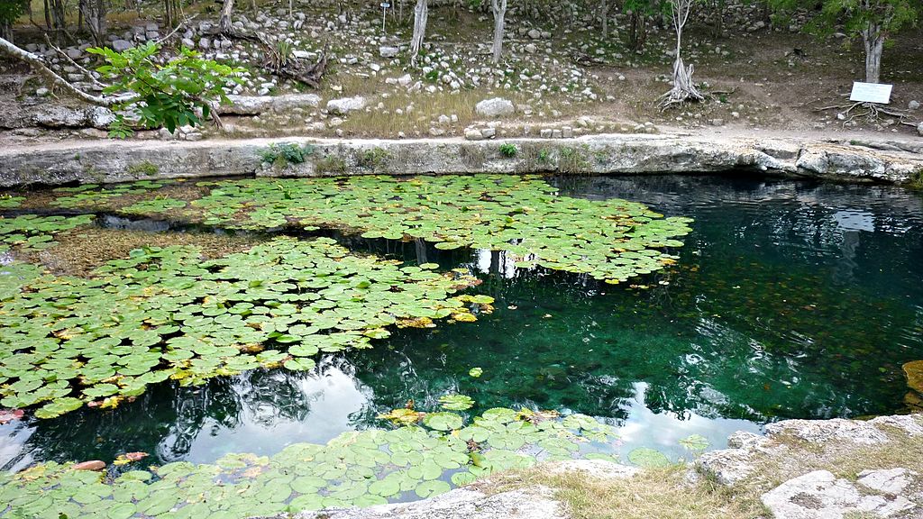Cenotes, candidatos a “Tesoro del Patrimonio Cultural de Mérida”