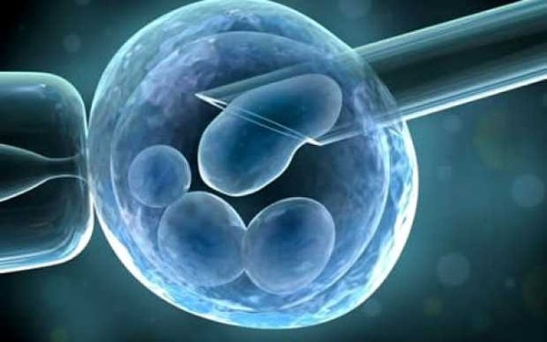 Desarrollan embriones humanos en laboratorio