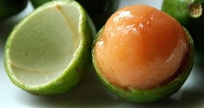 Fruto yucateco, causa de muertes y accidentes