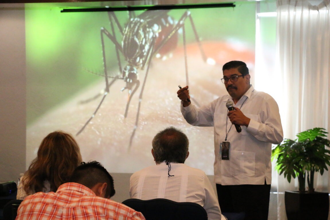 Expertos intercambian conocimiento sobre dengue, chikungunya y zika