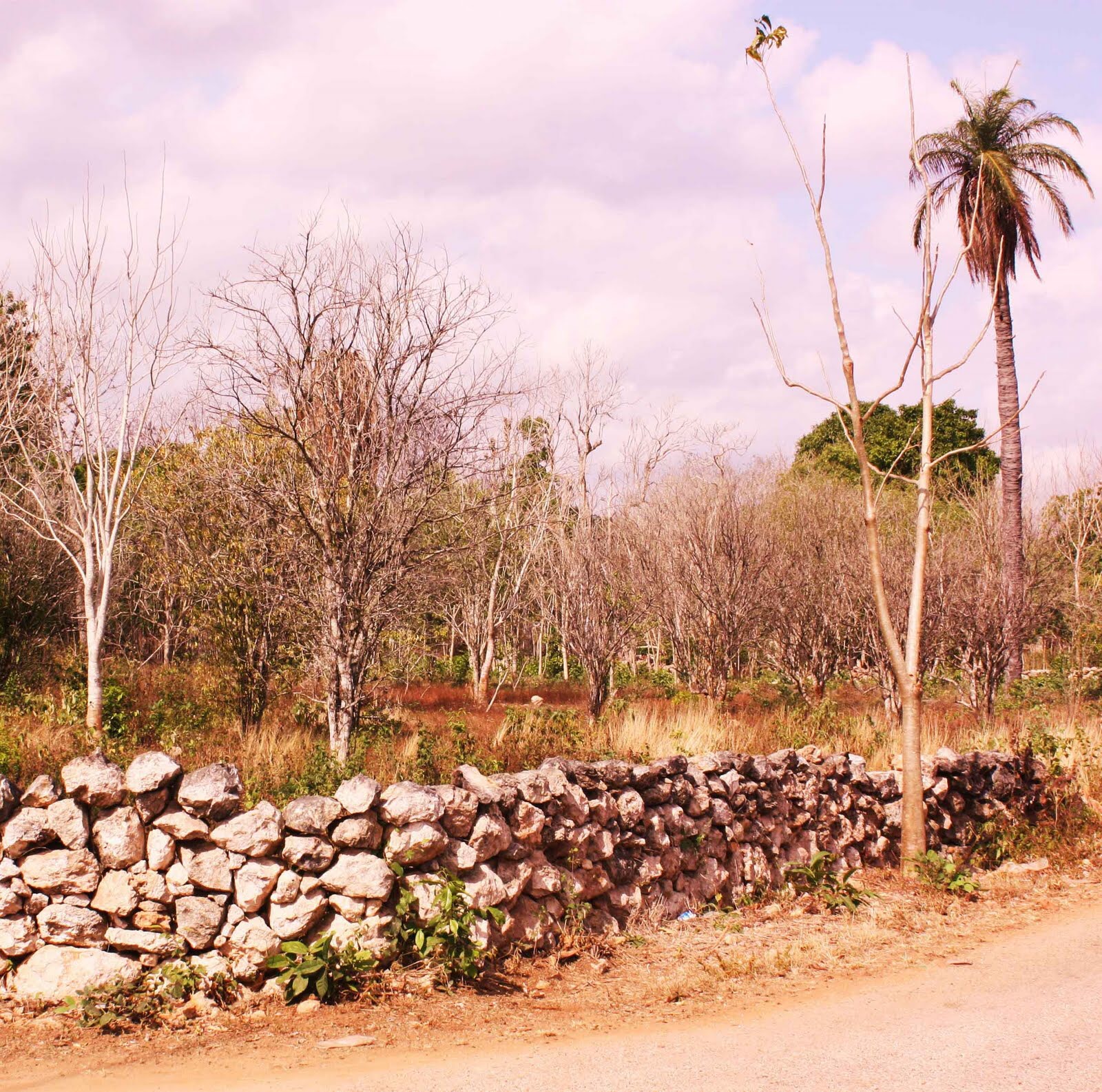 Más sequía y erosión en Península de Yucatán