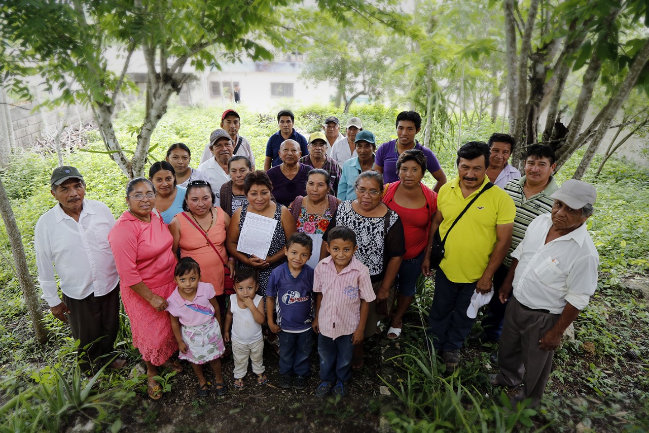 Llevan a CIDH queja de comunidades mayas por soya transgénica