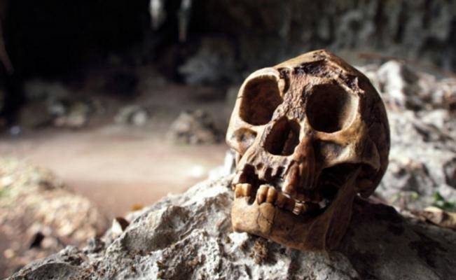 Homo sapiens son responsables de la desaparición de los ‘hobbits’