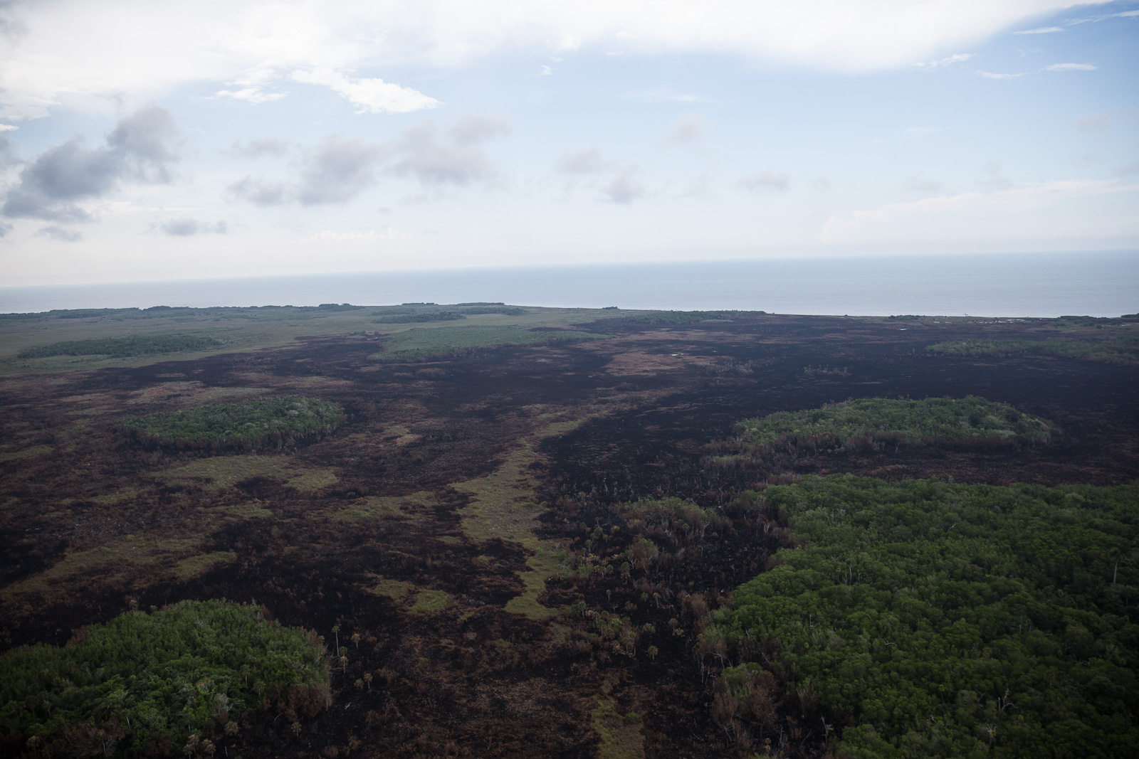 Dañadas mil hectáreas en Yucatán por incendio