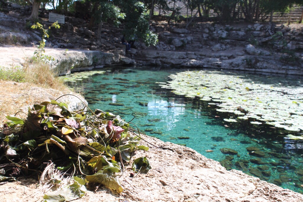 Cenote de Dzibilchaltún se encuentra amenazado