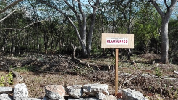Frena Profepa desmonte en ex hacienda yucateca