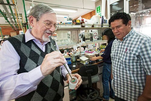 Científico de UNAM descubre antídoto contra veneno de alacrán