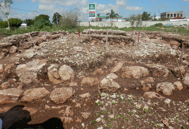 Opera INAH 60 salvamentos al año en Yucatán