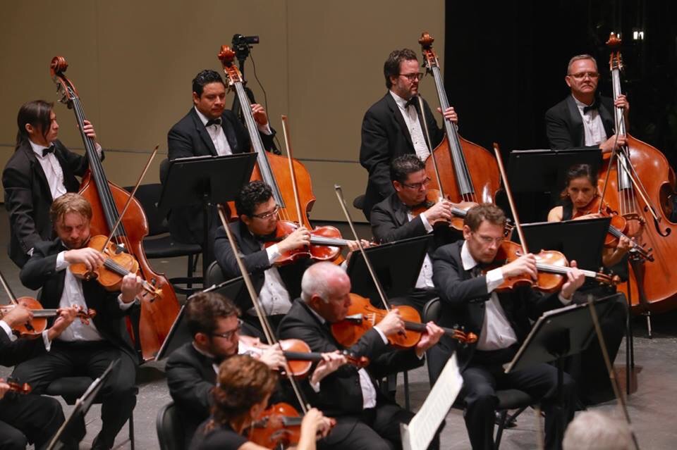 Público y orquesta interpretan marcha de Radetzky