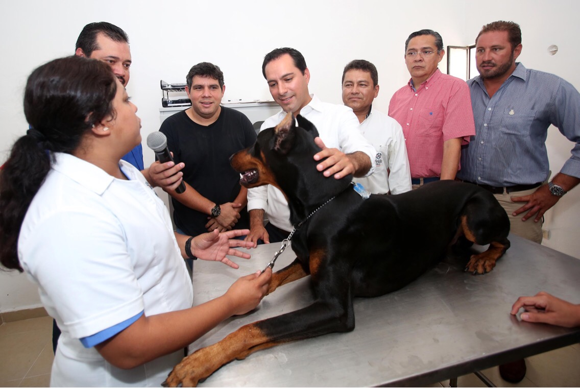 Módulo Veterinario Municipal, beneficio de 3,096 mascotas