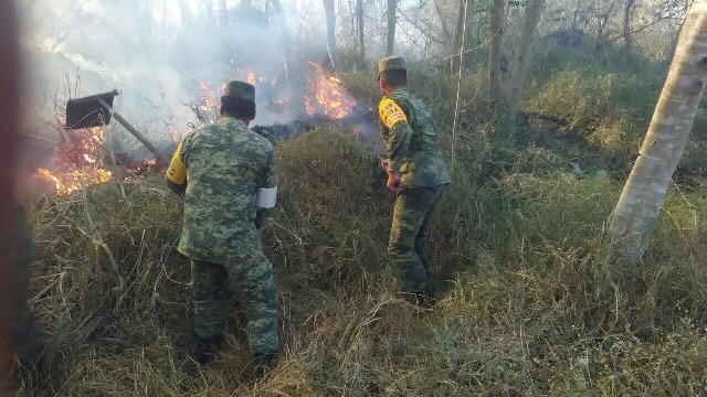Daña incendio 20 hectáreas en municipio de Tixkokob