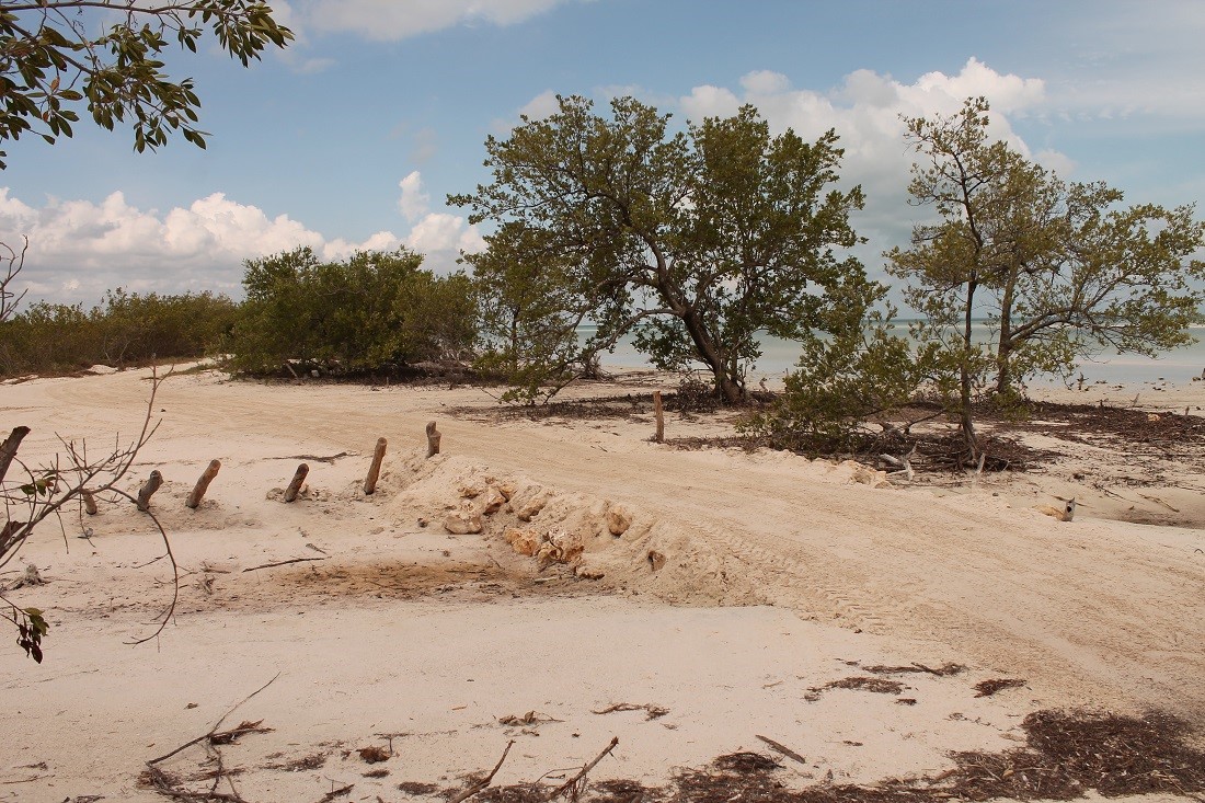 Alertan por contaminación del agua en ANP de Caribe Mexicano