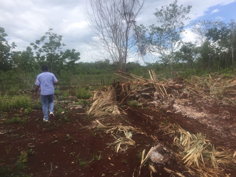 Latente lío por despojo a 114 familias en Chichimilá