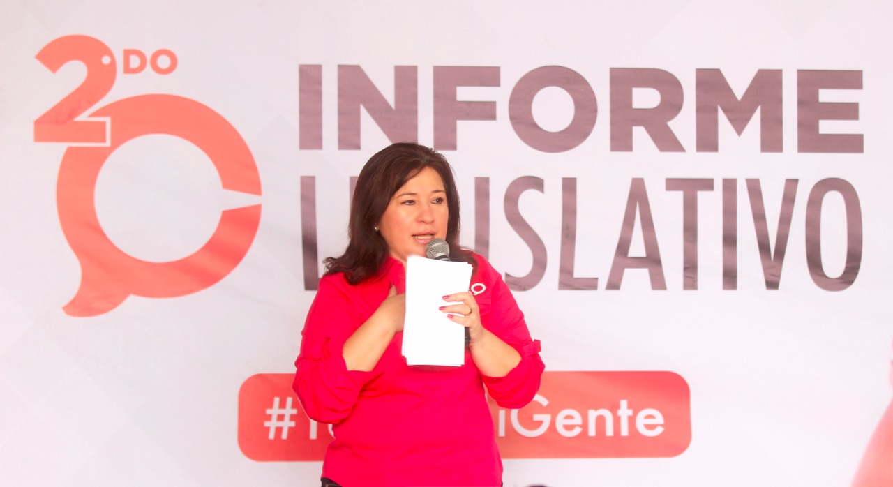 Informe legislativo de diputada Celia Rivas