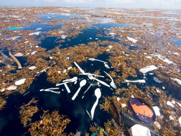 Descubren “mar de plástico” frente a costa de Honduras