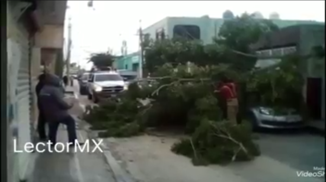 Frente Frío ocasiona algunos destrozos en Campeche