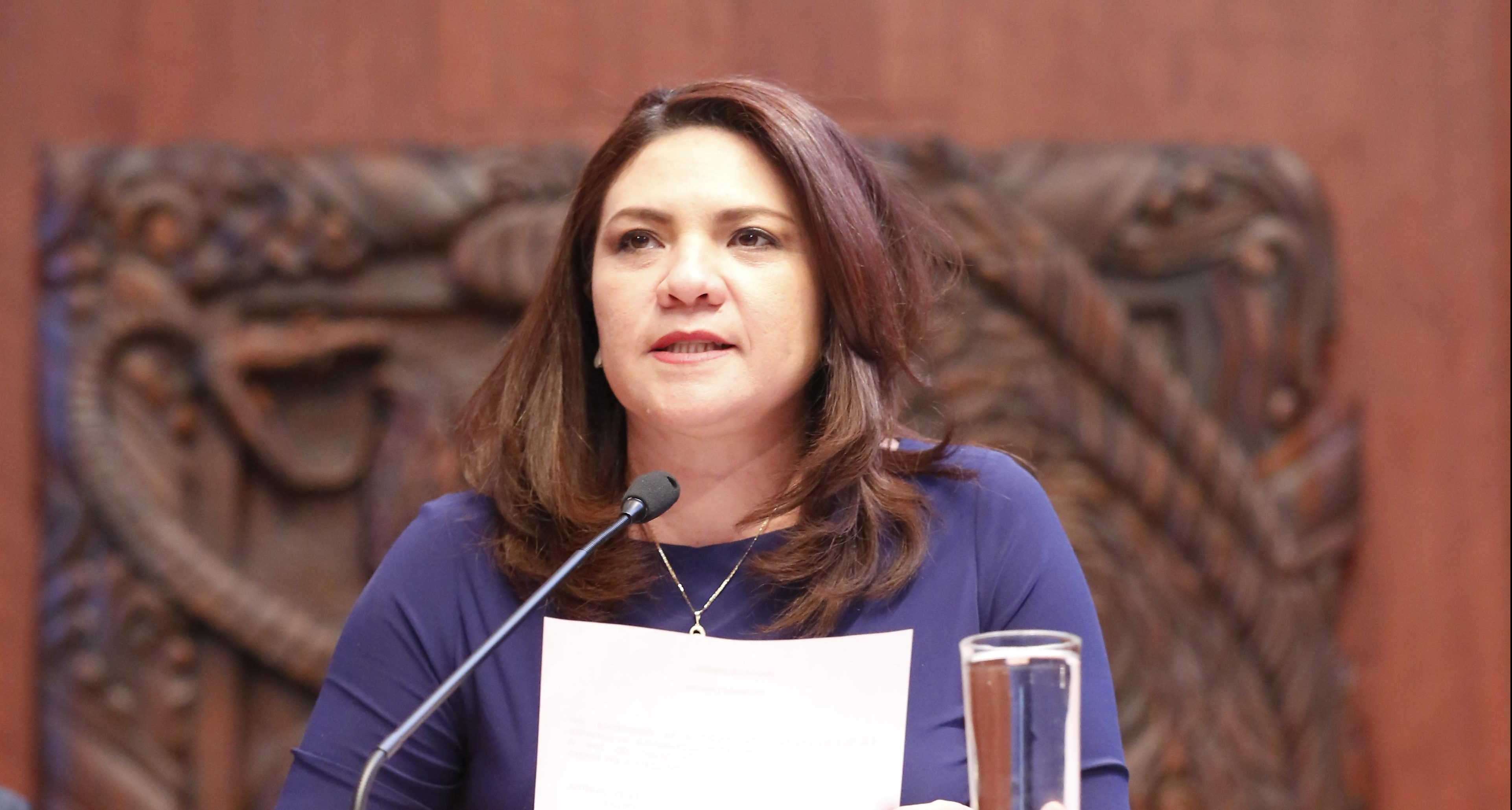 Senadora yucateca explica voto en contra de Ley de Seguridad Interior