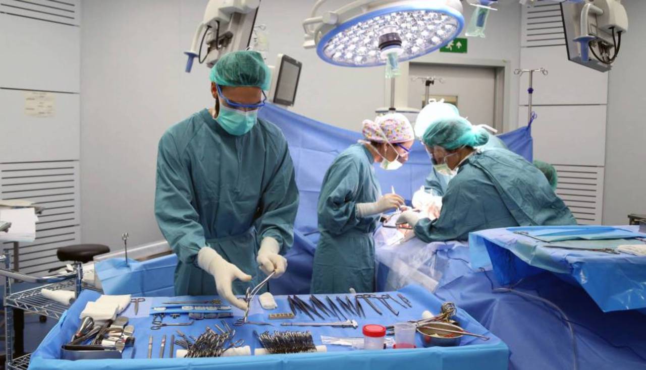 Automatizan donación de órganos en Holanda