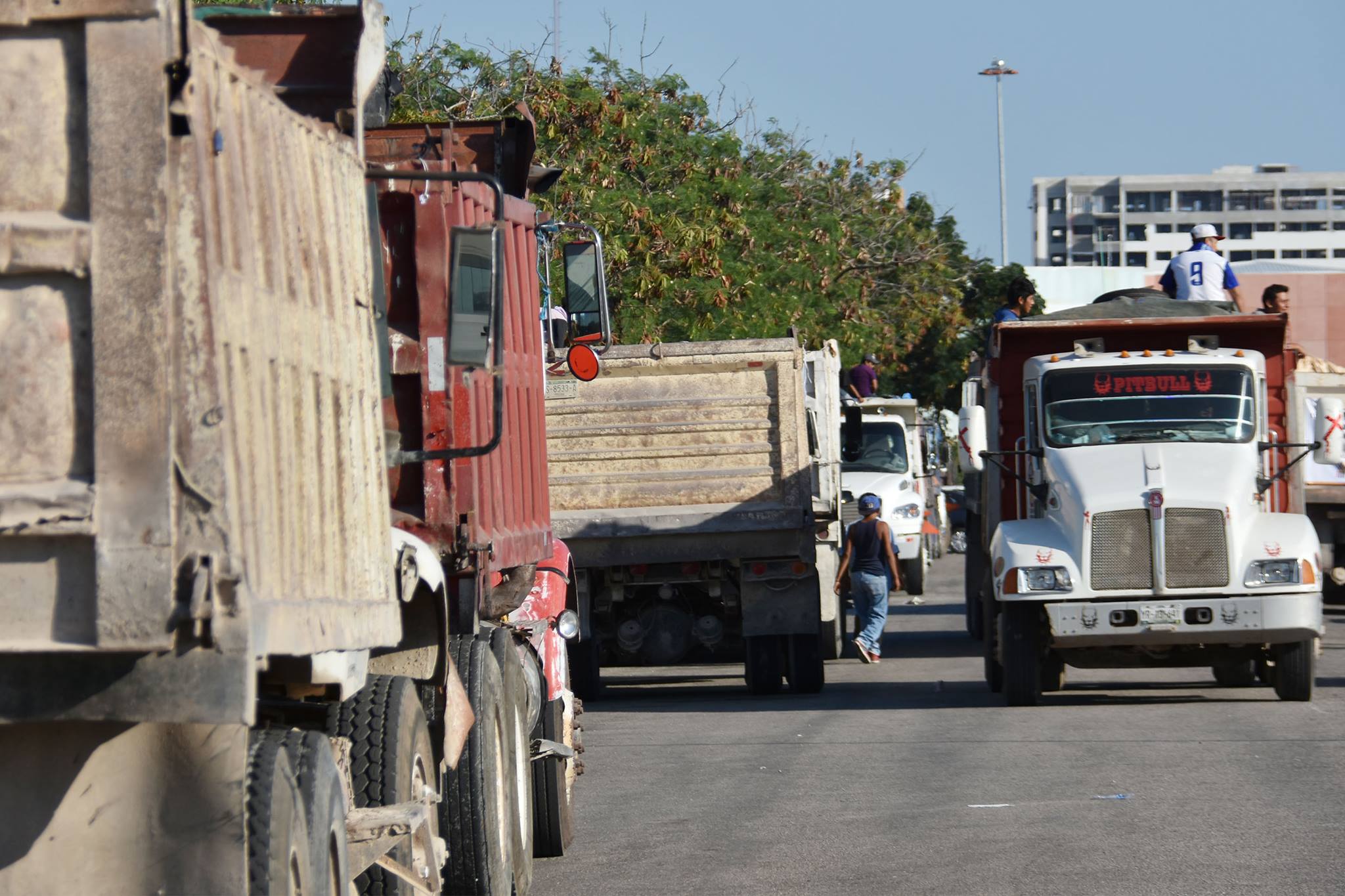 Retiran en Mérida más de 545 toneladas de potenciales criaderos de moscos