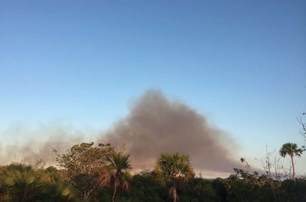 Monitorean incendio en costa del extremo norte de Quintana Roo