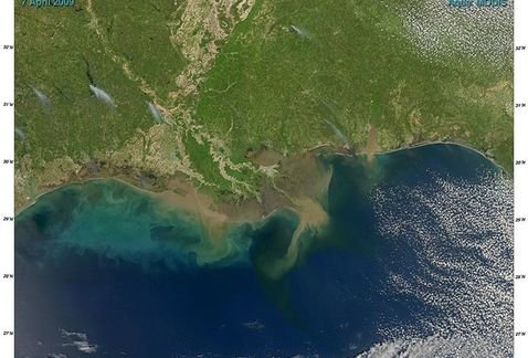 Crece ‘zona muerta’ sin oxígeno en el Golfo de México