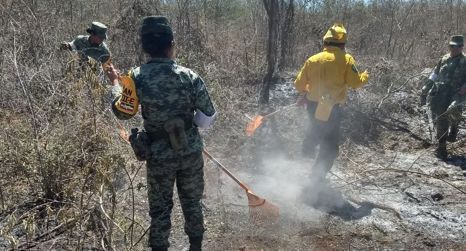 Vigilan incendios y suspenderán en abril quemas agrícolas