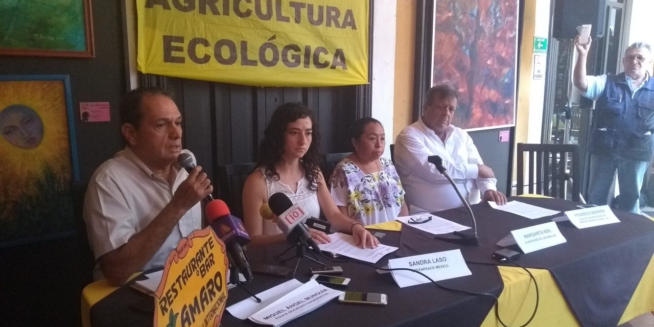 Biodiversidad y cultivos orgánicos, a la agenda electoral