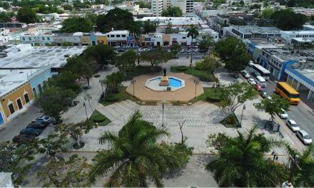 Primeros frutos del proyecto de Redensificación del Arbolado en parques del Centro Histórico Mérida