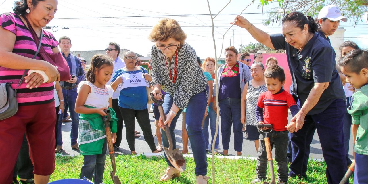 Mérida cuenta con más de 80,300 árboles nuevos