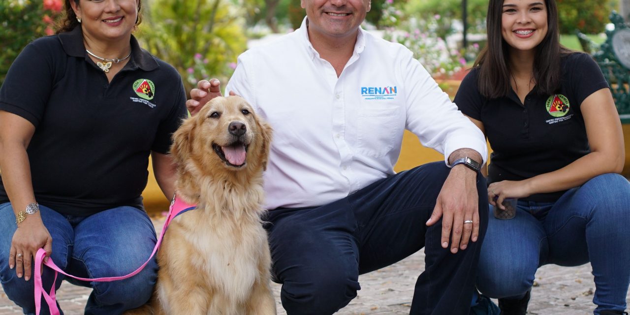 Protegeremos a los animales y mejoraremos sus condiciones de vida, Renán Barrera