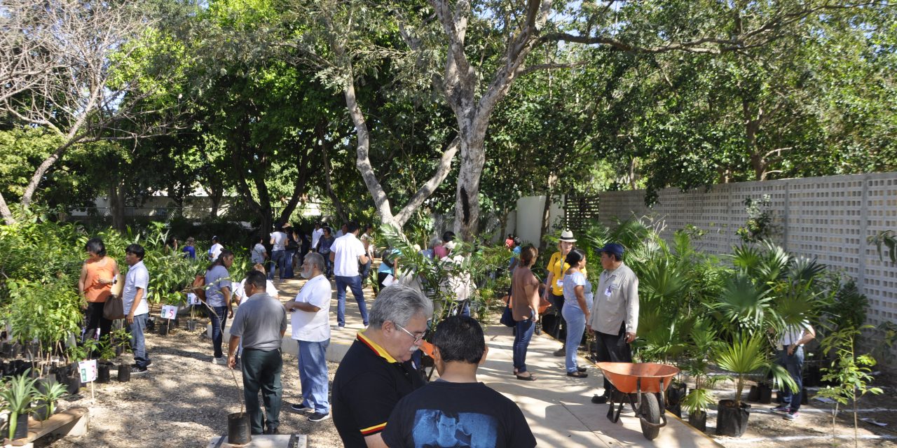 Suman voluntades en defensa del árbol