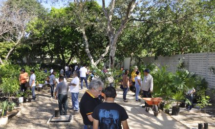 Suman voluntades en defensa del árbol