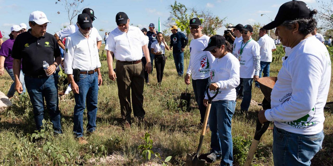 Urgen reducir consumos de plásticos y cuidar árboles