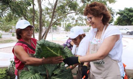 Huertos urbanos en Mérida mejoran salud y calidad de vida