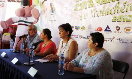 Anuncian la tercera edición del Festival de la Chicharra