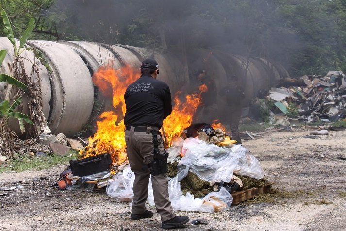 PGR incinera más de una tonelada de pepino de mar