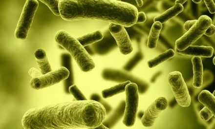 Bacterias intestinales tienen que ver con el tamaño de la cintura