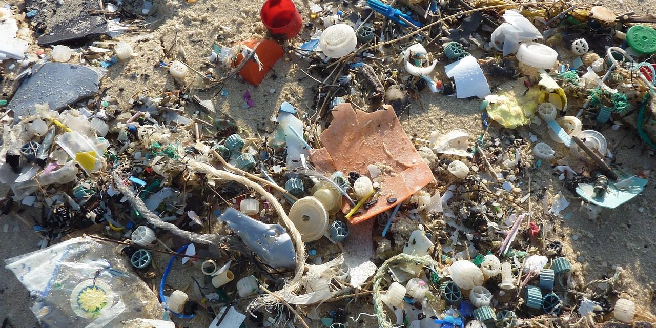 Preocupante contaminación de nuestros mares por PET.- Semarnat