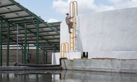 Responde Japay que suministra agua de calidad