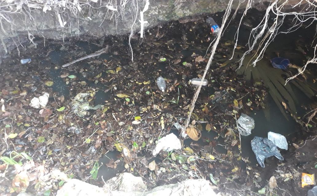 Rescatarán cuatro cenotes afectados por basura y contaminación