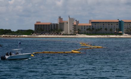 Mira cómo buscan detener sargazo en mar de Cancún