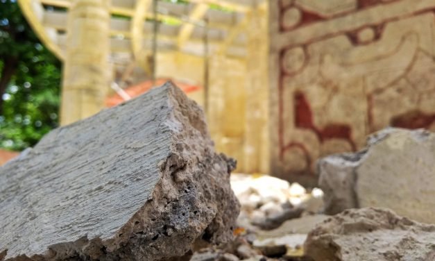Limpieza profunda ‘rompe’ estructuras en parque de Las Américas (video)