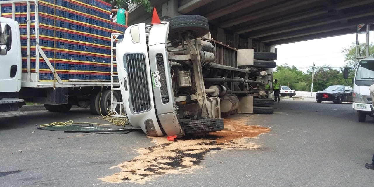 Sacrifican pollos en periférico oriente, bajo puente Kanasín