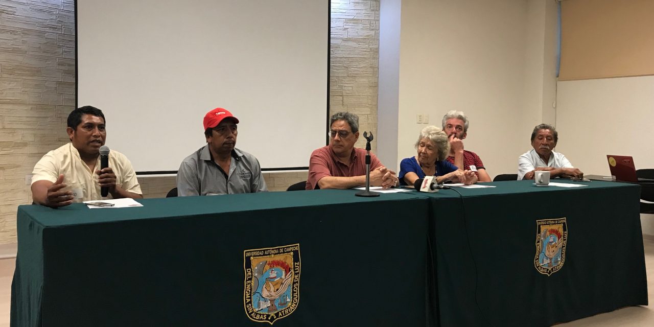 Península Maya: Foro “Impacto de los plaguicidas en la apicultura”