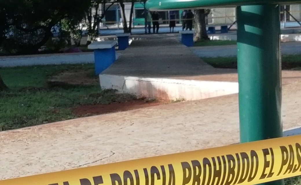 Preso de soledad y enfermo, octogenario se suicida en parque